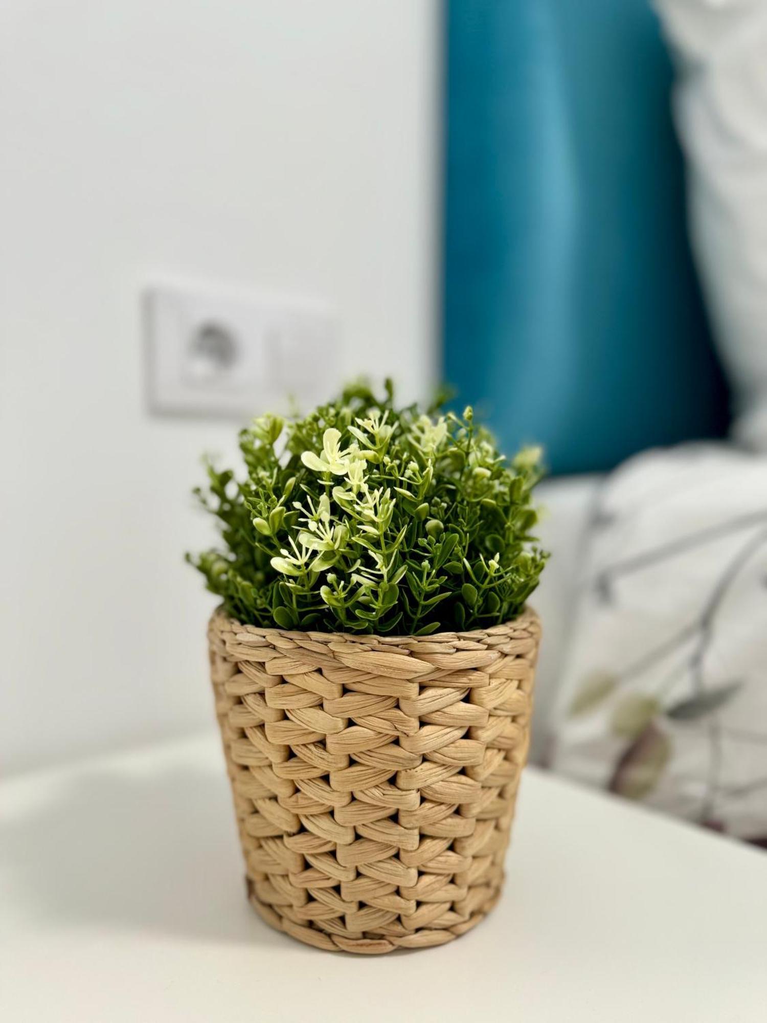 Apartamento Centrico Vigo Dış mekan fotoğraf